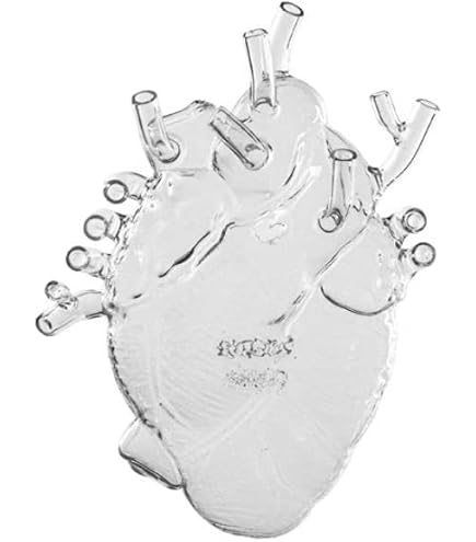 Amazon.com: Seletti Love in Bloom Heart Vase, White : Home & Kitchen