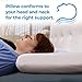 wavveUziz Cooling Gel Memory Foam Pillow with Cooling Ice Cover, Queen Size