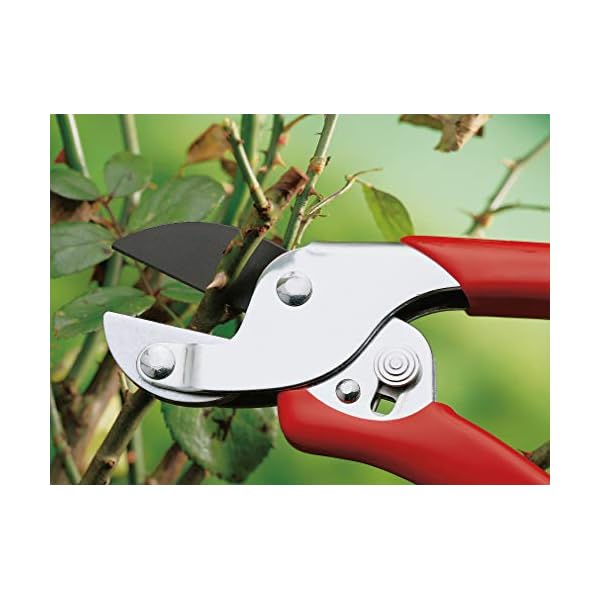 WOLF-Garten - Amboss-Gartenschere »Aktion« RS-EN; 7210060, Basic – Bild 6
