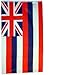 Hawaii 3ft x 5ft Printed Polyester Flag