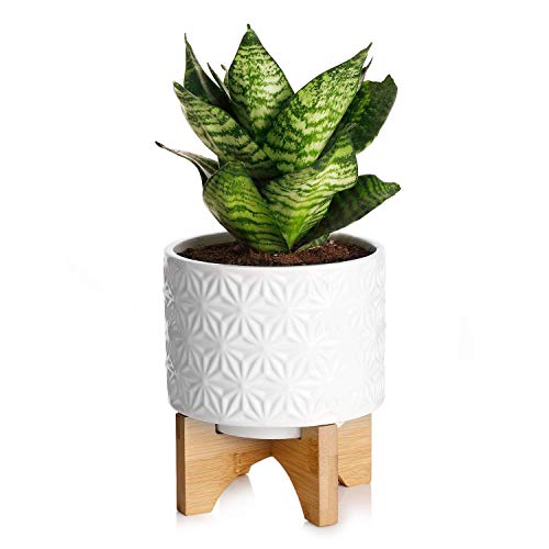 Greenaholics Medium Plant Pot - 5.5 Inch Cylinder White Ceramic Planter with Arched Bamboo Stand, for Small Herb, Snake Plant Seedling