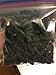 Dried Wild Sea Cucumber,岩刺参,Holothuria Mammata, Grade AAAA (mix size) 1LB