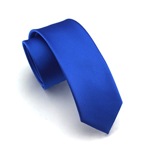 Elviros Mens Eco-friendly Fashion Solid Color Slim Tie 2.4'' (6cm) Royal Blue