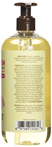 Little Twig All Natural Baby Wash, Berry Pomegranate, 17 Fluid Oz - Thumbnail 2