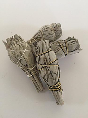 4 White Sage ( Torch Style ) Smudge Sticks 3 inches long