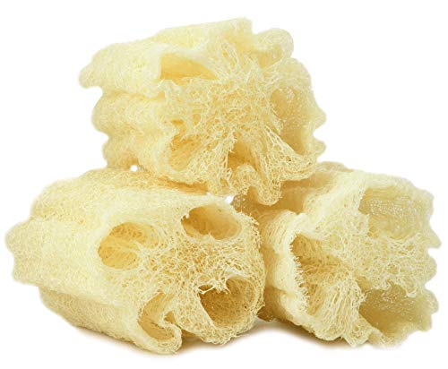 NileCart Natural Organic Egyptian Loofah Sponges, Large Exfoliating Shower Loofah Body Scrubbers SPA Beauty Bath and radiant skin (Pack of 3-6.5 In.)