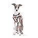 Puppia Authentic Blossom Vest Harness B, X-Large, Royal Blue