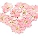 JETEHO 20Pcs Real Larkspur Dried Flowers Pressed Flowers DIY Preserved Flower Decorations