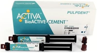 PLP Activa BioACTIVE Cement Value Pk Translucent 2x7Gm Syr