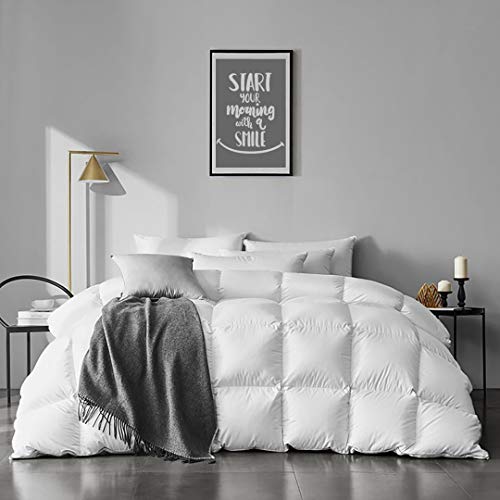 APSMILE King Size Goose Feather Down Comforter Ultra Soft All Seasons