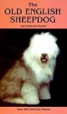 Old English Sheepdog
