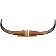 Shawnee Trading Post Unisex Authentic Small Steer Horns Tan One Size