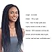 RAYIIS 6 Packs Braiding Hair Kanekalon Synthetic Braiding Hair Extensions 24 inches (6 Packs, Black 1B)