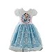 Blue Frozen Elsa Dress with Embroidered Lace for Age 3-8y