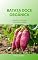 Livro Batata Doce Orgânica: Guia de Cultivo em Canteiros e Vasos