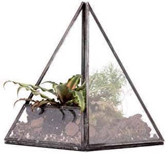 Urban Born Glass Terrarium, Pyramid - 6"x6"x7.5" (Urban Black Steel, Small)