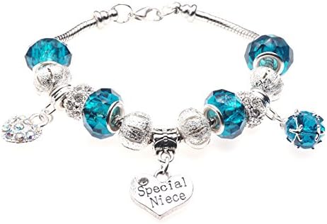 'Special Niece' Birthstone Birthday Charm Bracelet with Gift Box Women's Jewellery