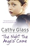 "The Night the Angels Came" av Cathy Glass
