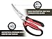 Heavy Duty Kitchen Scissors | Stainless Steel Spring Loaded Professional Grade Chicken Shears - Great for Cutting Meat, Chicken, Bone, Fish, Game, and Other Food Items - Dishwasher Safe!