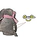 OMGOD Plush Toy peek-a-Boo Elephant, Hide-and-Seek Game Baby Animated Plush Elephant Doll Present - Gray