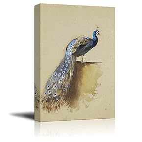 Beautifully Drawn Peacock Standing with It