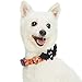 Blueberry Pet 2019 New 8 Patterns Halloween Night Bats Designer Adjustable Dog Collar with Detachable Decoration, Medium, Neck 14.5″-20″thumb 2