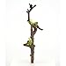 Top Collection Miniature Fairy Garden Two Frogs Relaxing on Branch & Planter Stake Statue, Small