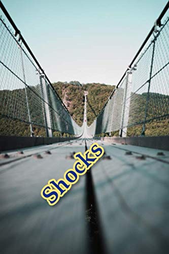 Shocks: Journal by Qing Li