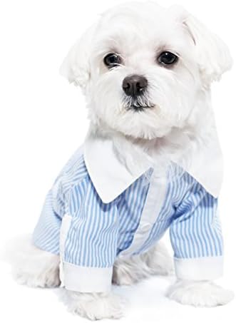 Chill Pups Blue and White French Contrast Striped Dog Dress Shirt by United Pups (Medium)