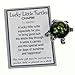 Lucky Little Turtle Charm