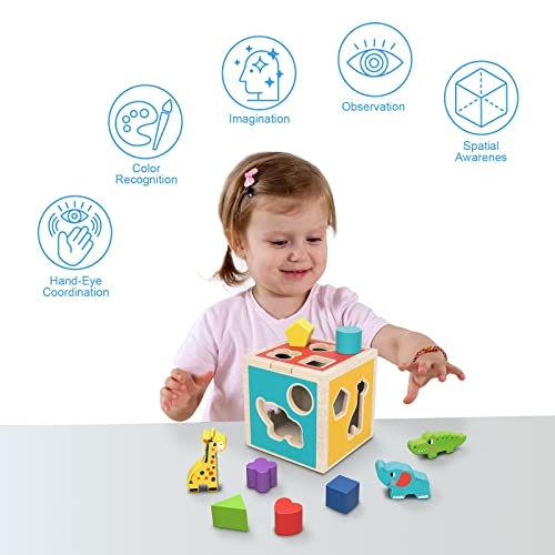 TOOKYLAND Wooden Shape Sorter Cube Toy, Wooden Animal Blocks Geometric