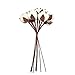 VGIA 20Pack Really Natural White Cotton Stems Dried Flower Branch for Farmhouse Decor Farmhouse Display Filler-Foral Decoration(2,10Pcs)