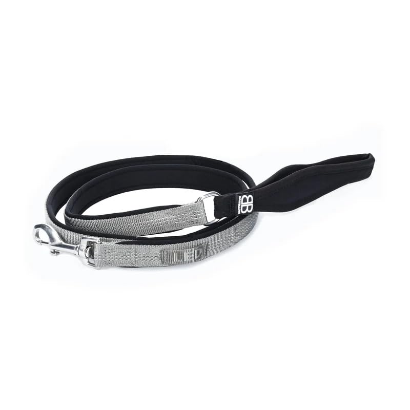 BULLYBILLOWS Active Light Lead - Reflective Nylon Dog Leash with Neoprene-Lined Handle, Stainless Steel Hardware-Dog Lead- 1.4m Length