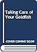 Taking Care of Your Goldfish by