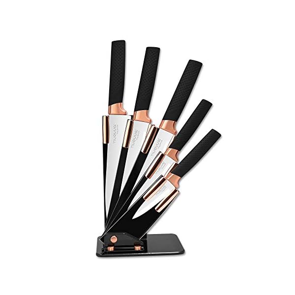 Kitchen Knife Block Set Copper 5 Piece Set with Knives Clear Acrylic Block Stainless Steel Blades - by Nuovva