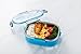 Lille 32oz Stainless Steel Leakproof Lunch Box, insulated bento box/Food Container with Insulated Lunch Bag | Adults, Kids | Men, Women