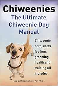 chiweenie care