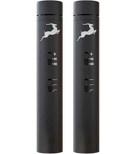 ANTELOPE AUDIO Vergeモデリングマイクロフォン 2個セット Amazon.com: Antelope Audio Verge Small Diaphragm Condenser