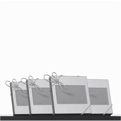 Vera Wang Love Knots Frame - Elegant 4 x 6 Photo Seychelles | Ubuy