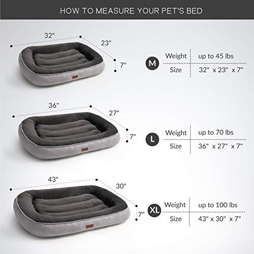Petsure Plush Dog Bed (L, 36x27x7 inches) for Small, Medium, Large Dogs Up to 70 lbs - Low Bumper Pet Bed with Ultra-Soft Bolster - Machine Washable - Grey - Thumbnail 6