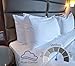 LB LAURA BENASSE LIVE THE DESIGN Queen Size Bed Pillows for Sleeping 4 Pack, Hotel Pillows for Side Back & Stomach Sleepers, Down Alternative Microfiber Super Soft Plush Washable - Set of 4