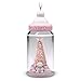 Hallmark Keepsake Christmas Ornament 2018 Year Dated, Baby Girl's First Christmas Baby Bottle