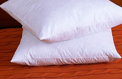 2 DOWNIGHT+Inches+Feather+Inserts+Pillows