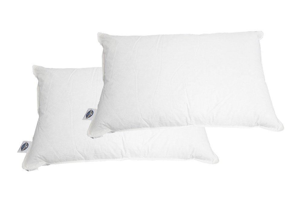 Pacific Coast Touch Of Down King Pillow Set 2 King Pillows