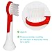 ITECHNIK Kids Replacement Heads for Philips Sonicare HX6034 Head Replacement Compatible With Electric Toothbrush Philips Sonicare Kids Standard, Blue 4 pcs, Red 4 pcs, 8 Count, Fit Age 4+