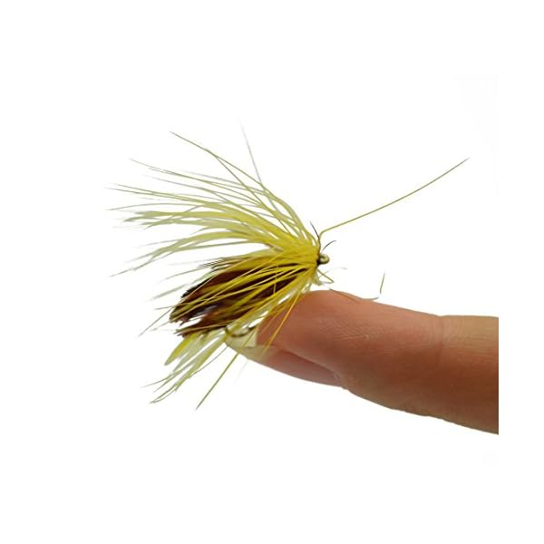 BLISSWILL-Fly-Fishing-Dry-Flies-Kit-Floating-Assortment-Fishing-Lure-with-Holder-32Pcs