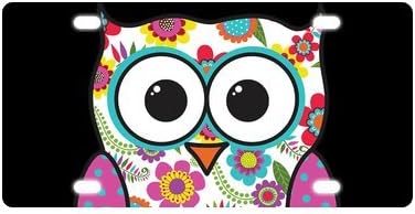 Custom Cartoon Animal Style Abstract Owl License Plate 12" X 6"