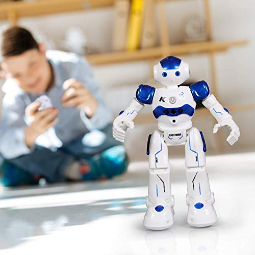 6 Control+Programmable+Birthday+Interactive+Robotics
