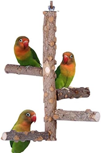 KINTOR Bird Perch Nature Wood Stand