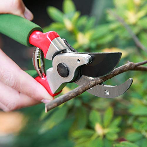 Terme Pruner Foam Handle Pruning Shears - Thumbnail 4